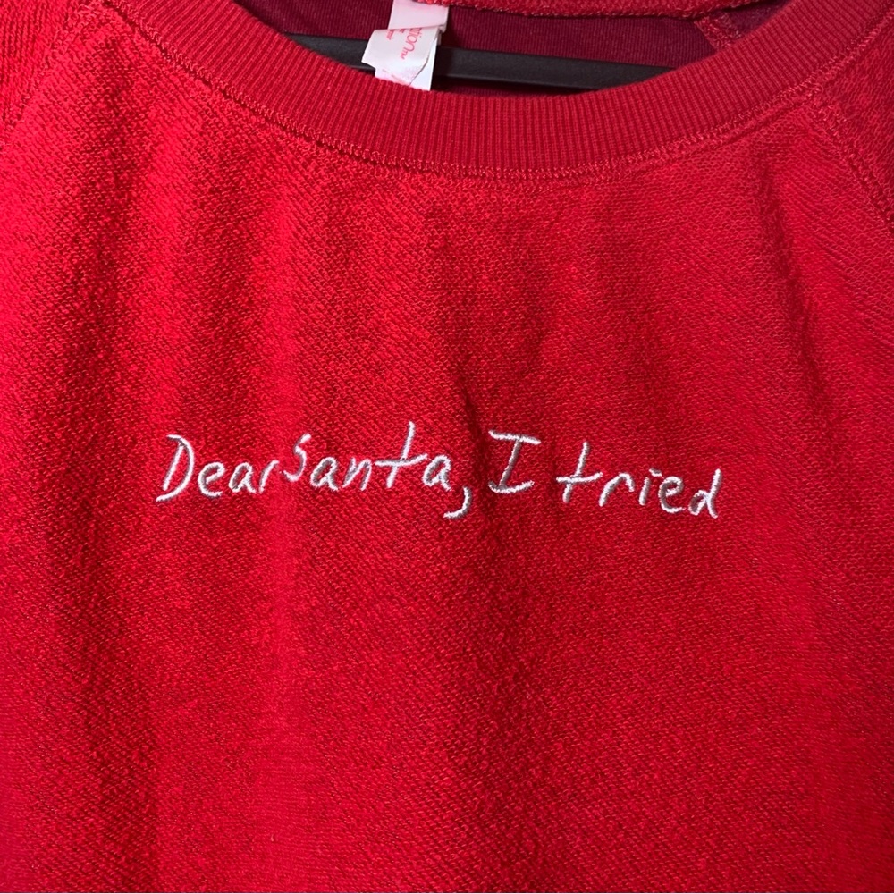 (M) Dear Santa I tried Sweater
